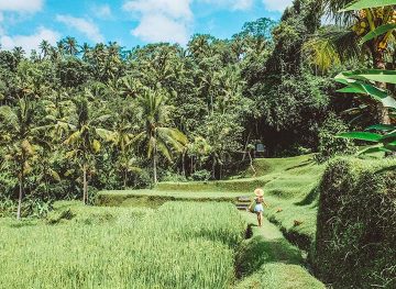 ubud bali