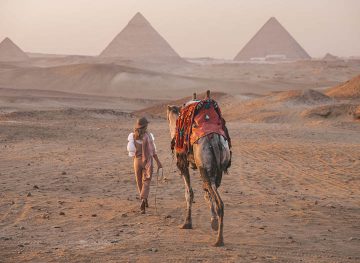 camel egypt blonde girl