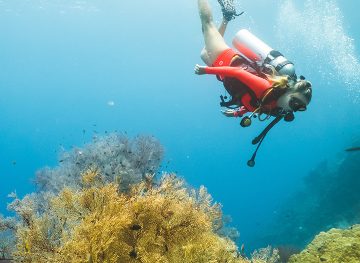 How to Scuba Diving