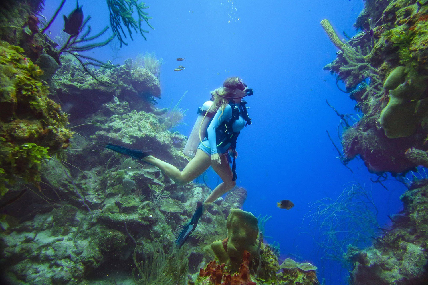 Blonde Girl Scuba Diving Gear Ocean