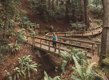 ventana big sur camping