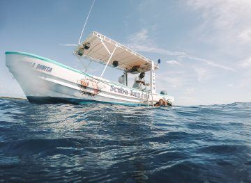 Scuba Diving in Cozumel with Scubatony