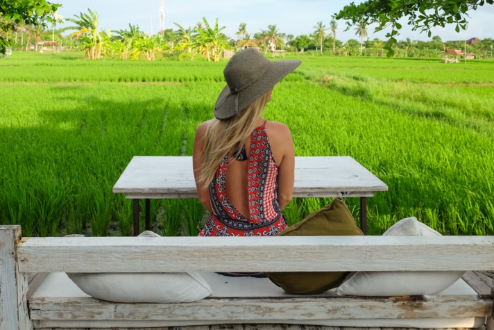 Bali Rice Fields