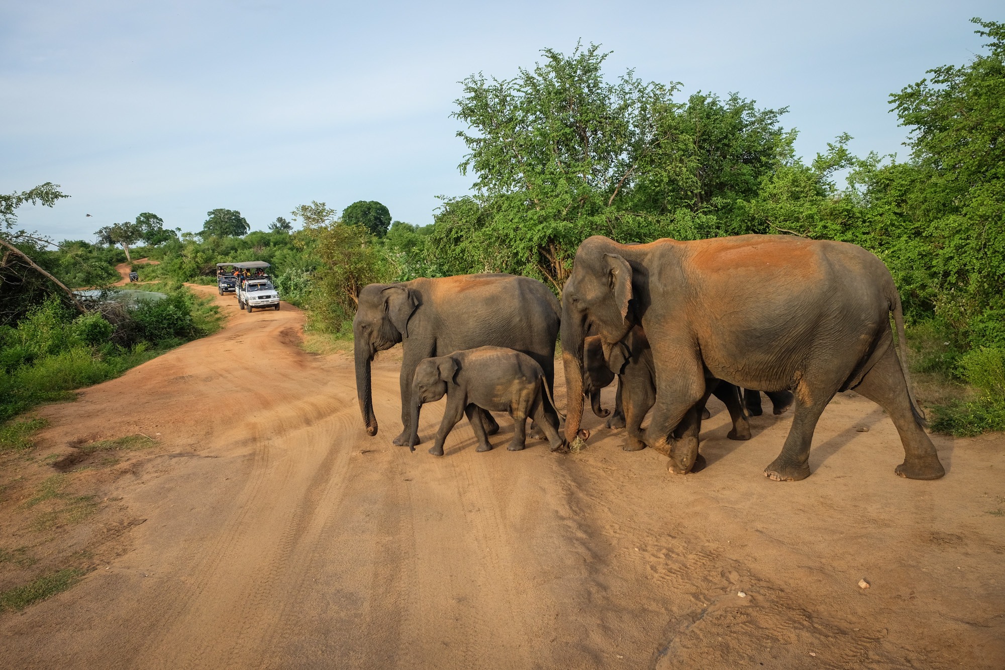 Walkers Tour Sri Lanka