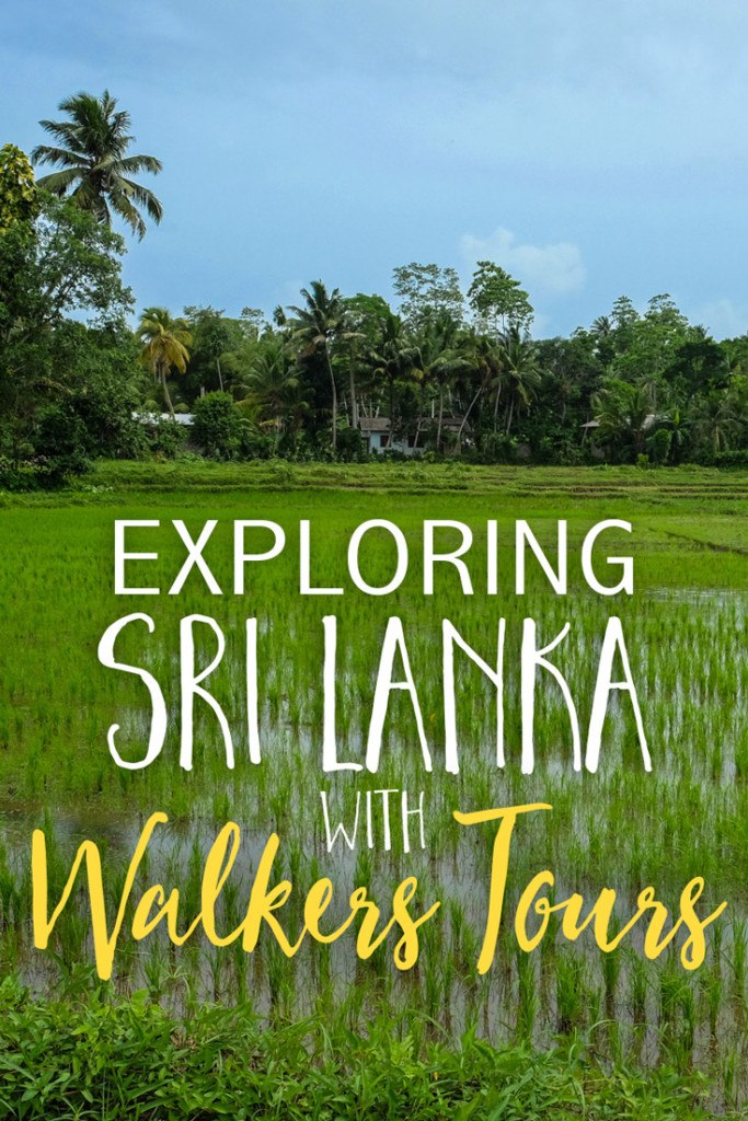 walkers tours limited sri lanka