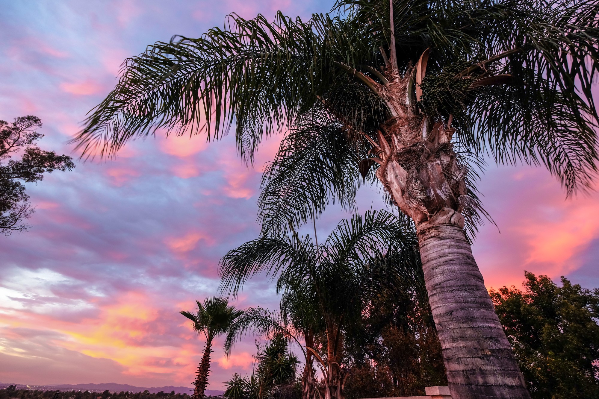 San Diego Sunset