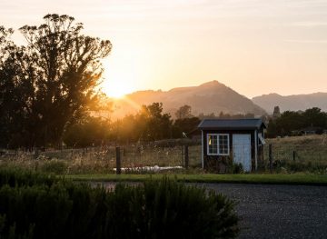 Carneros Inn Napa