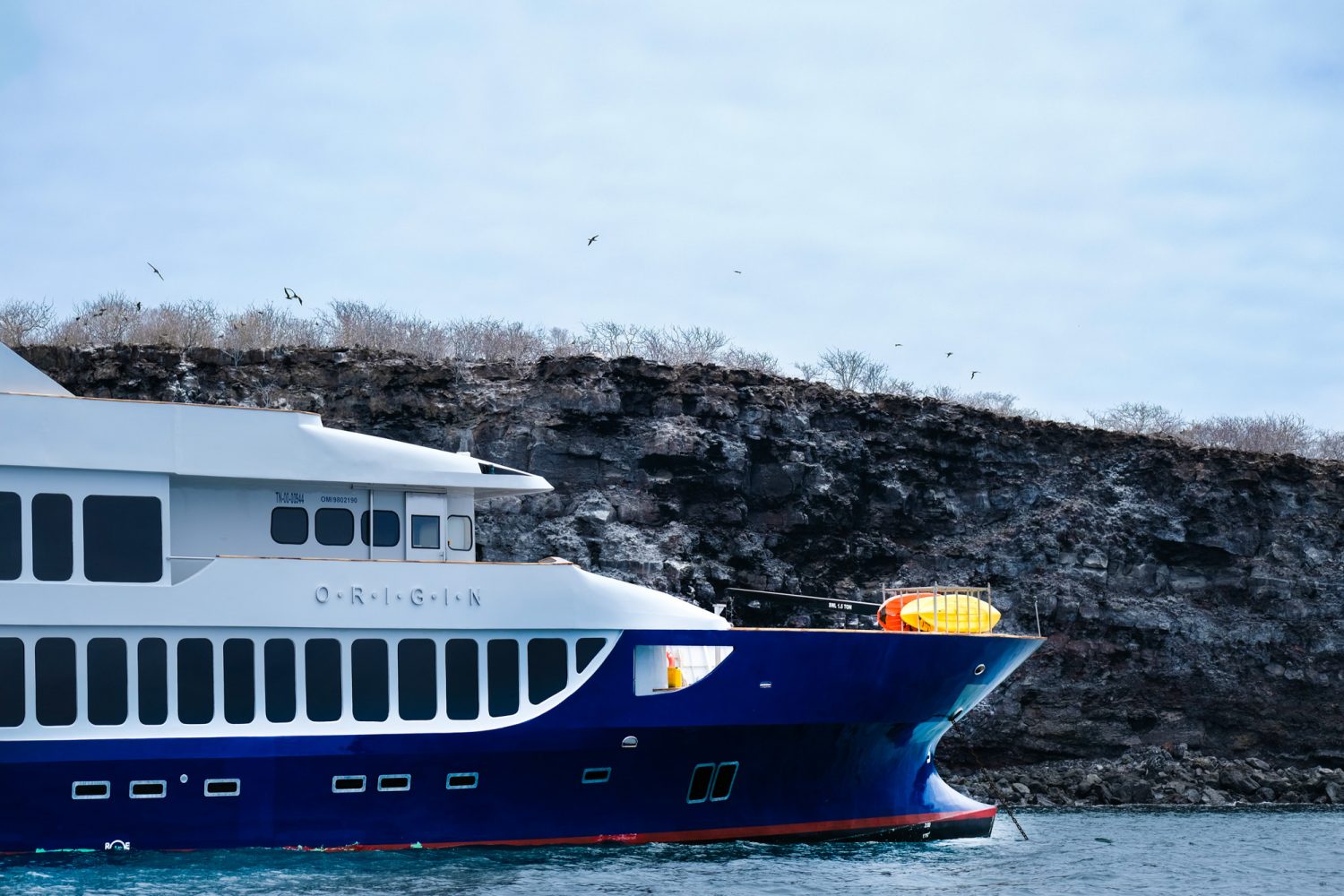 Ecoventura MV Origin