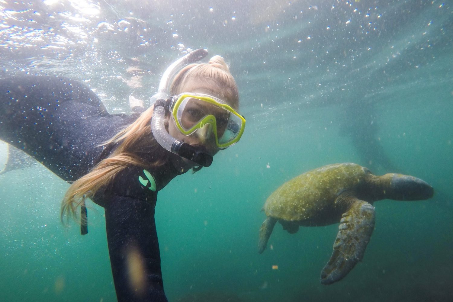 Snorkeling Tagus Cove in the Galapagos