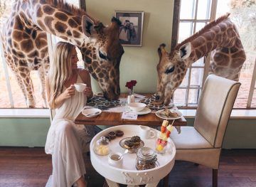 visiting giraffe manor in kenya