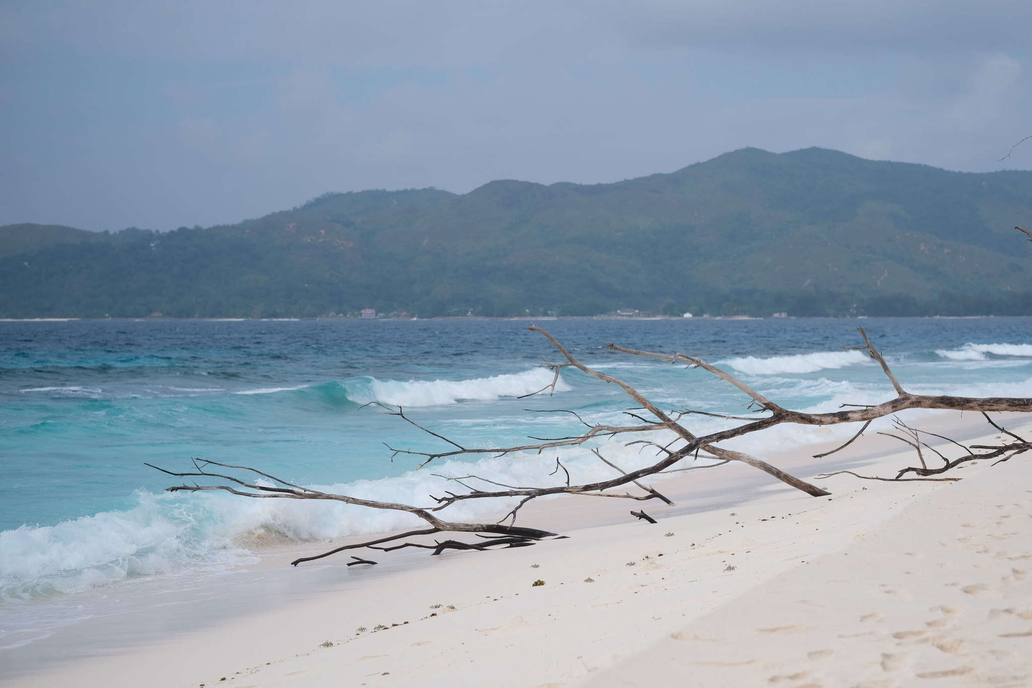 Beach on Cousin Island