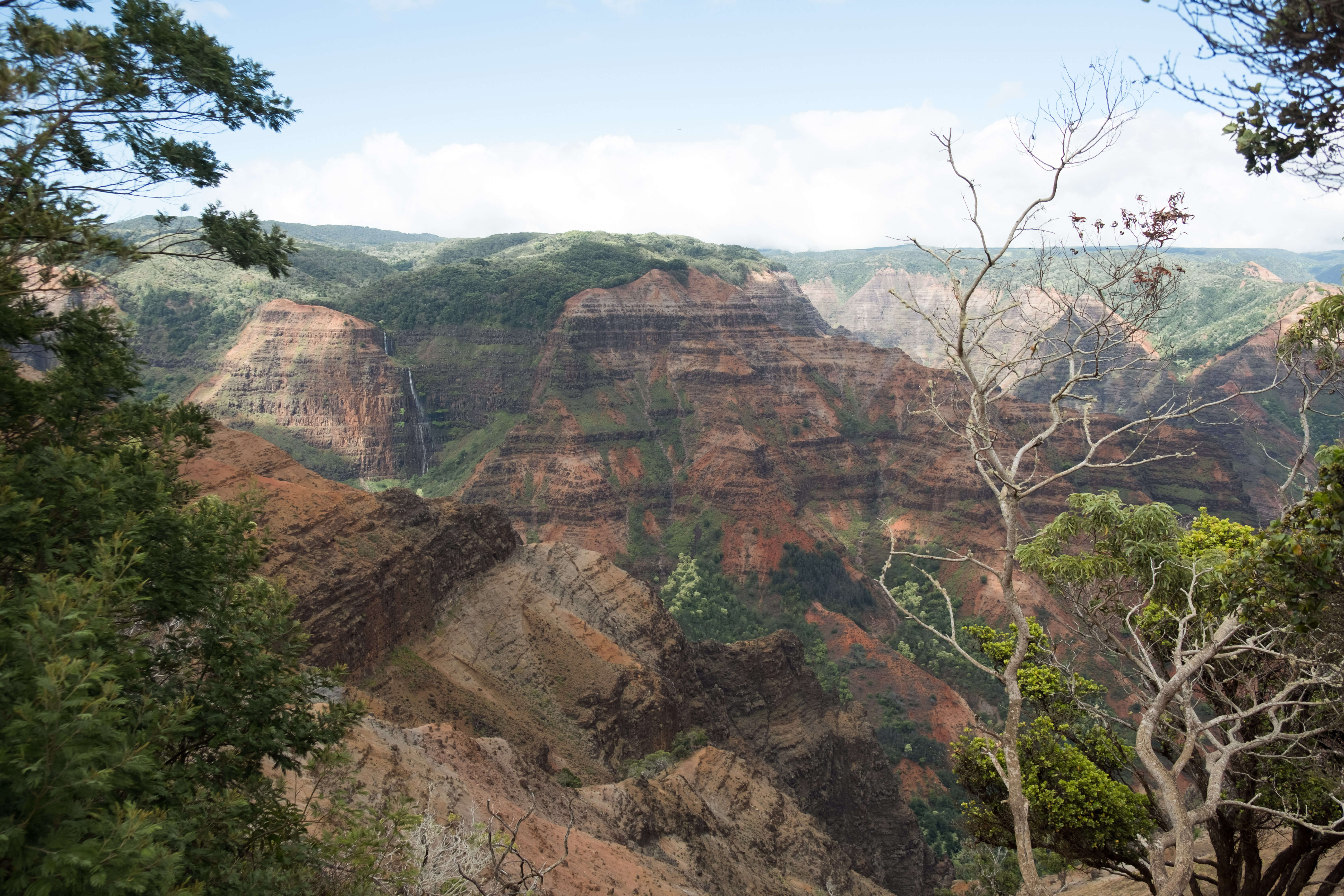 Wanderung durch den Waimea Canyon