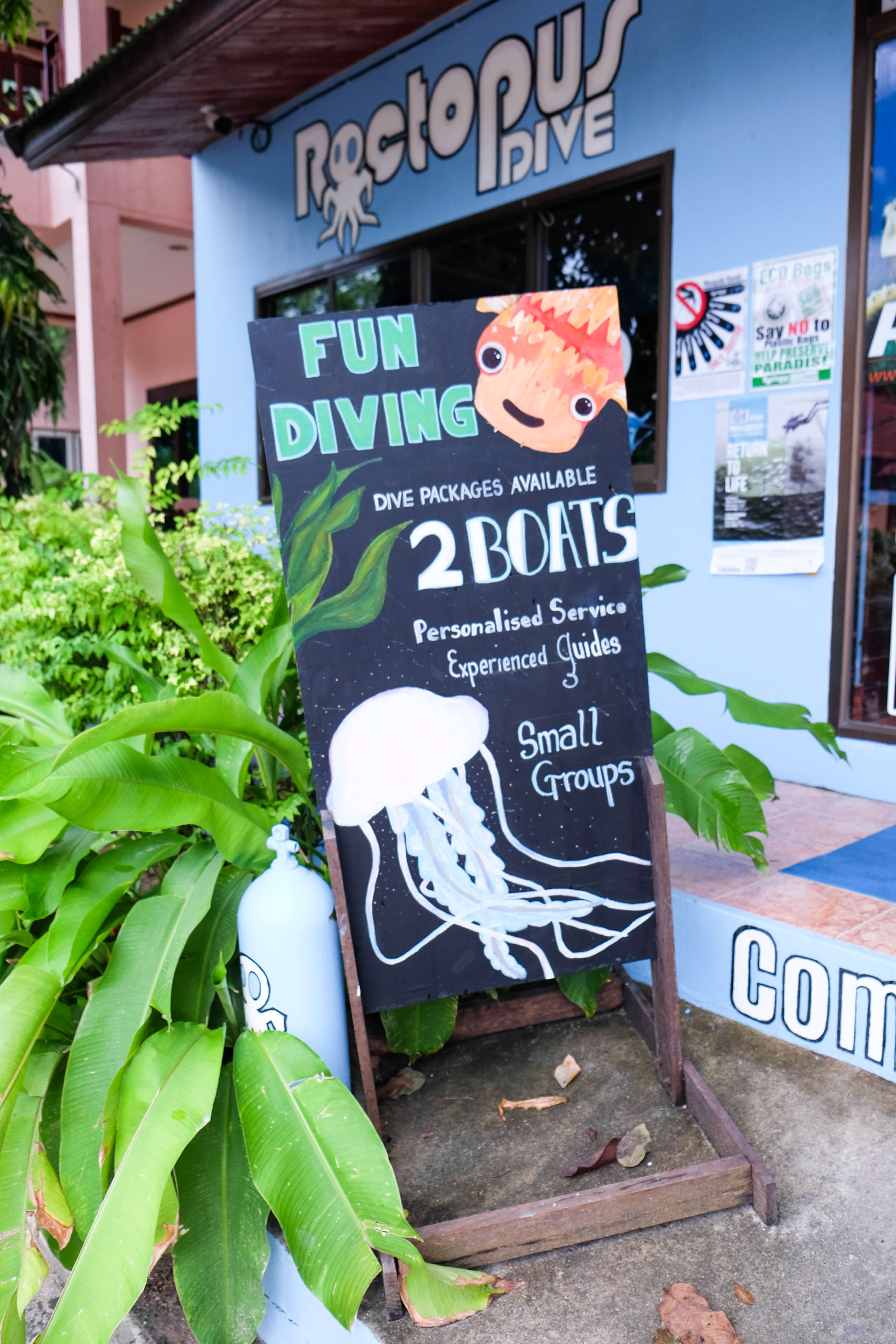 Getting Scuba Certified in Koh Tao with Roctopus Dive • The Blonde Abroad