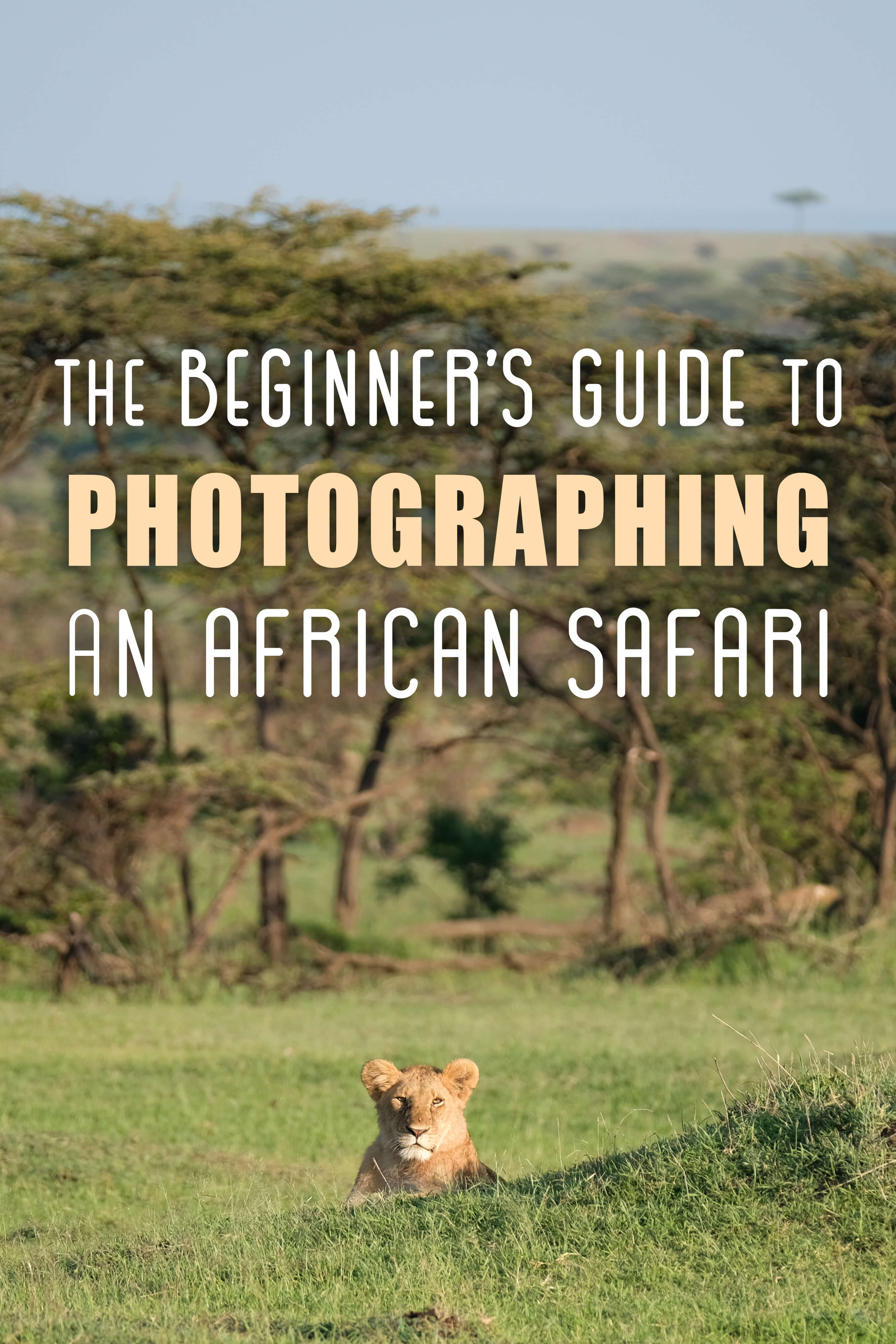  La Guía para Principiantes para Fotografiar un Safari Africano