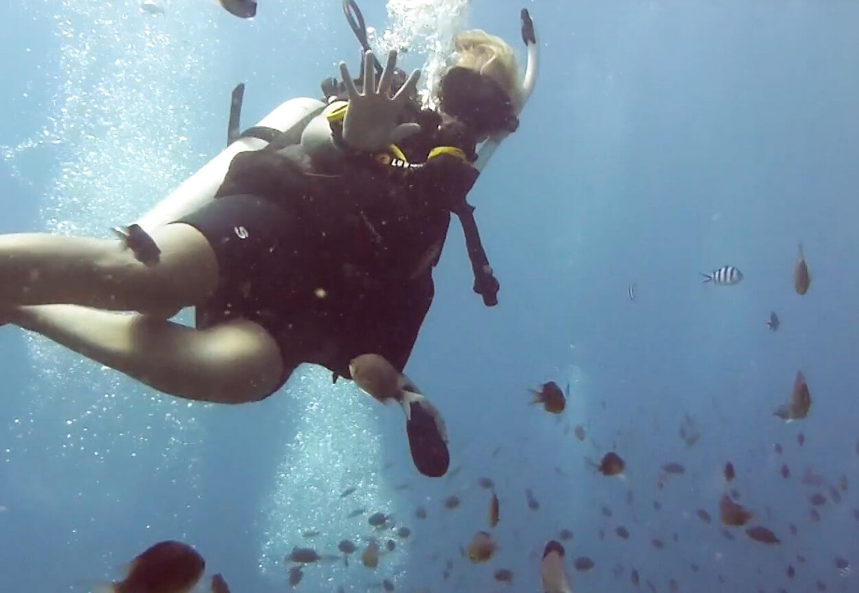 Scuba Diving in Koh Tao