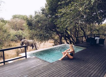 Royal Malewane Safari Lodge