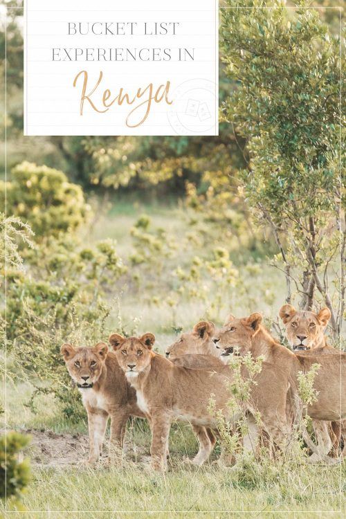 Bucket List Experiences in Kenya • The Blonde Abroad