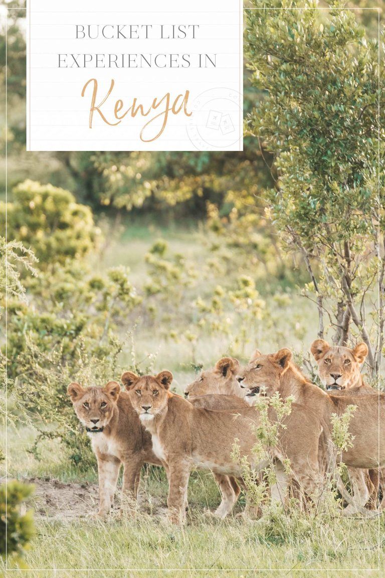Bucket List Experiences in Kenya • The Blonde Abroad