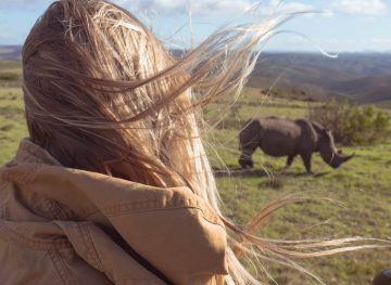 Rhino Spotting at Gondwana South Africa