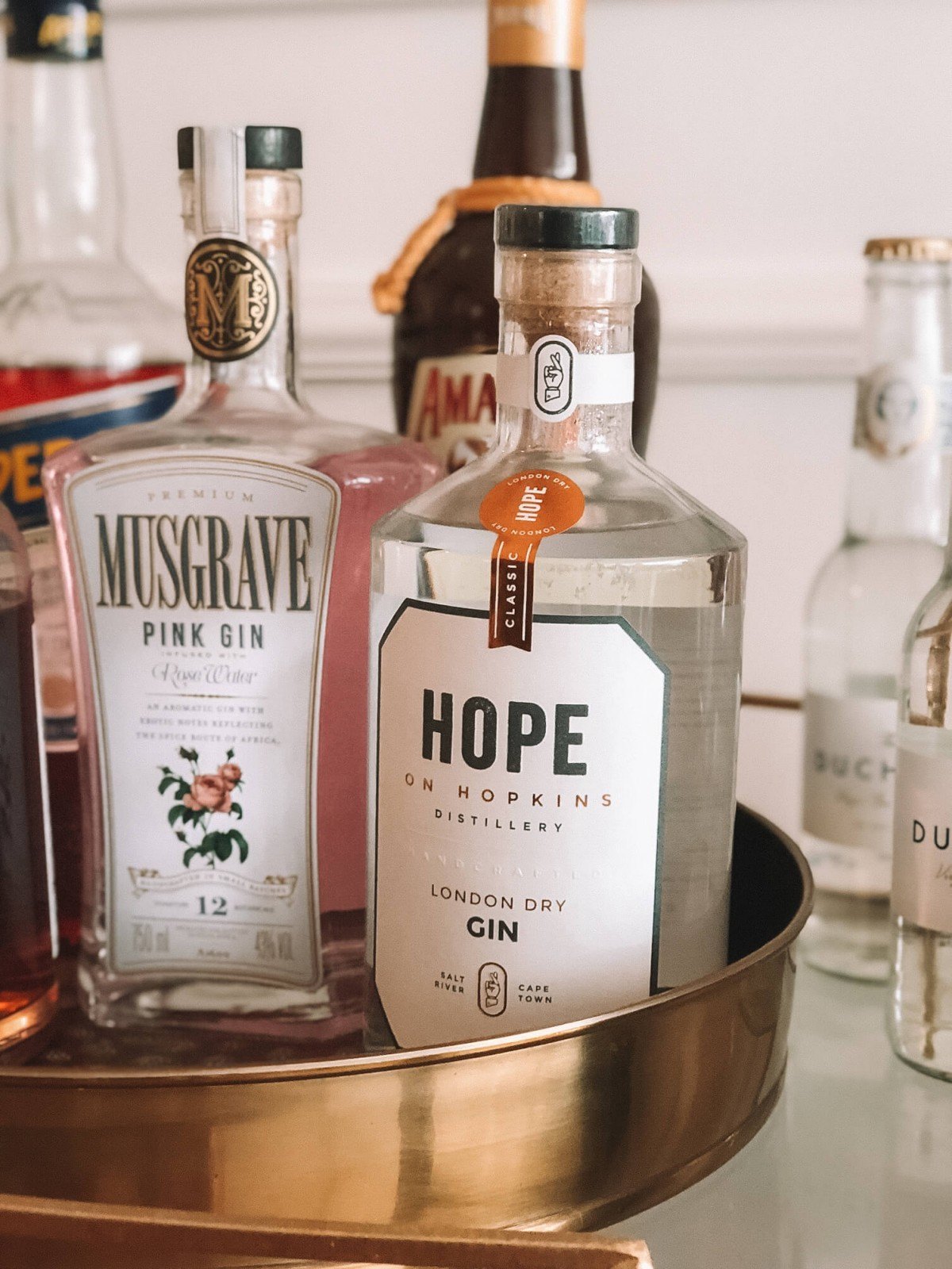 10 Local Gins to Try in Cape Town • The Blonde Abroad