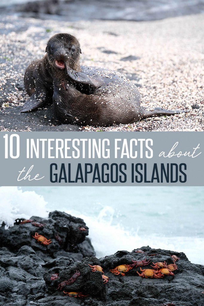 10 Interesting Facts About the Galápagos Islands • The Blonde Abroad