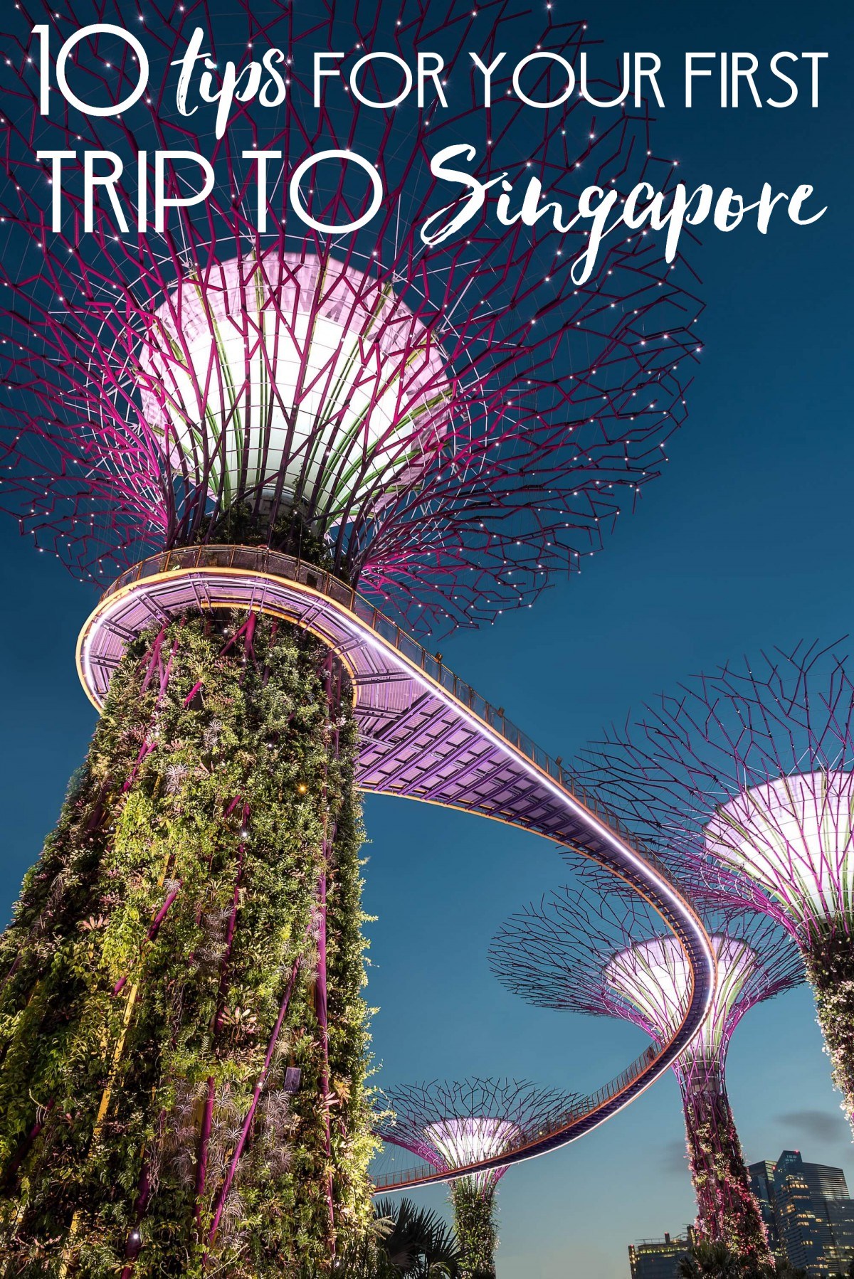 10 Tips for Your First Trip to Singapore • The Blonde Abroad