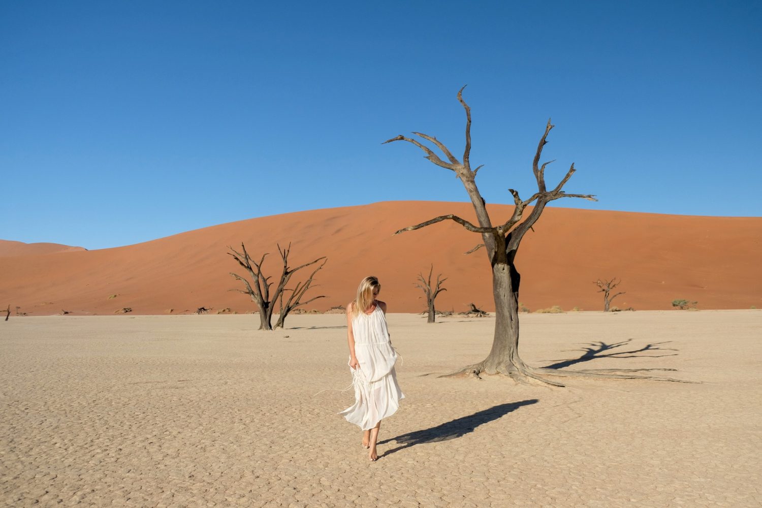 best time to visit namibia