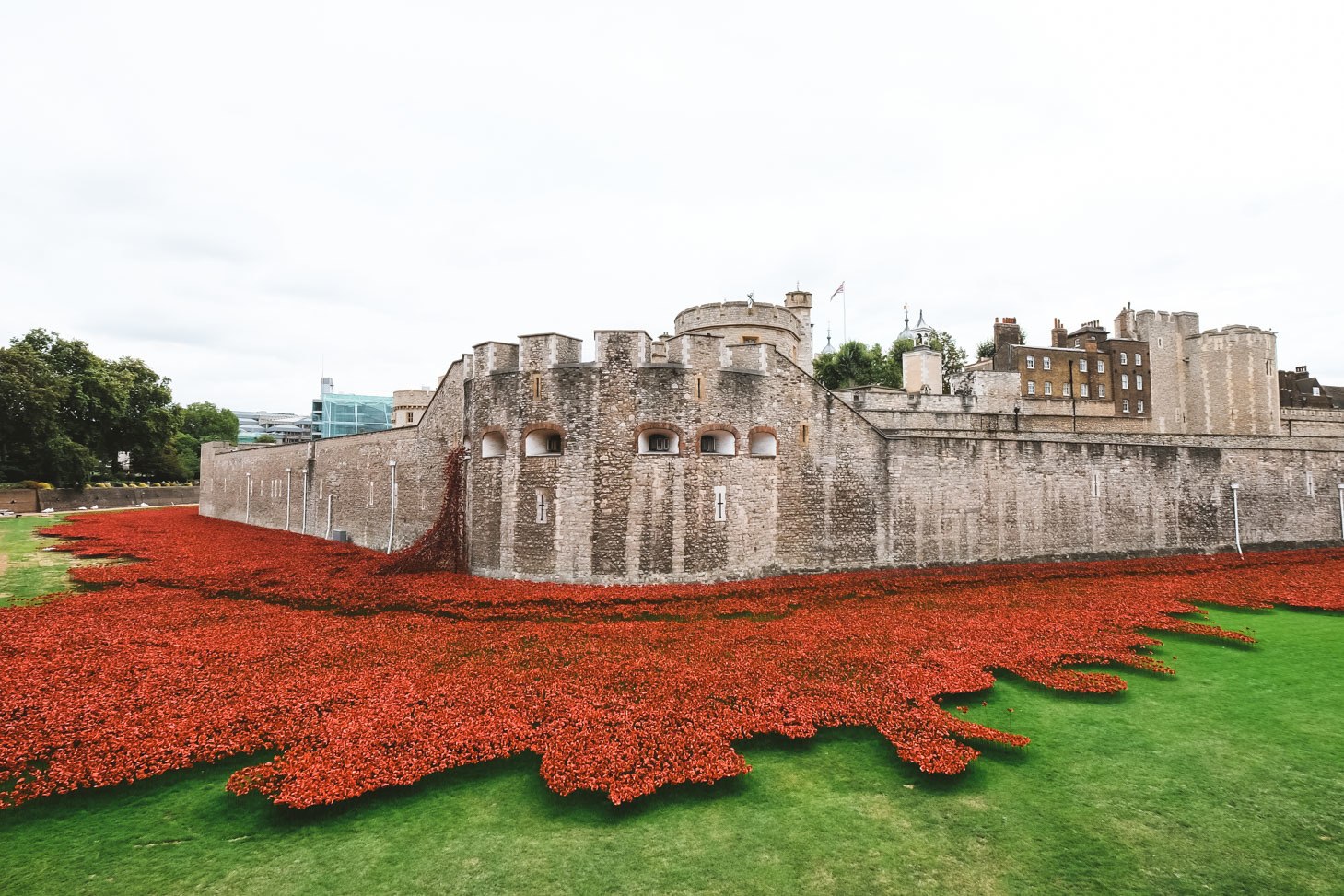 Tower of London med røde blomster