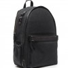 Big Sur Backpack