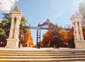 Ultimate Madrid Travel Guide