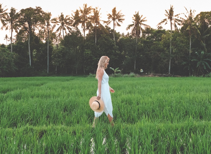 Backpage Bali