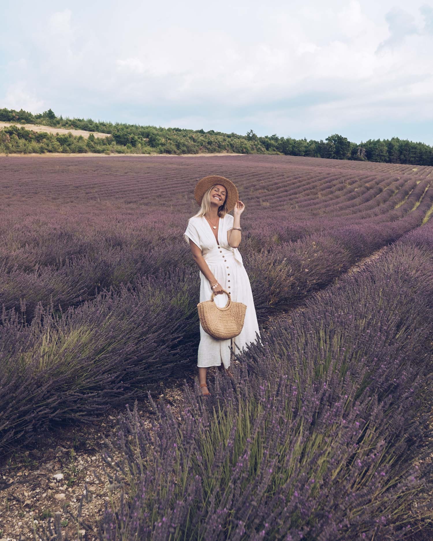 Provence Lavender Fields