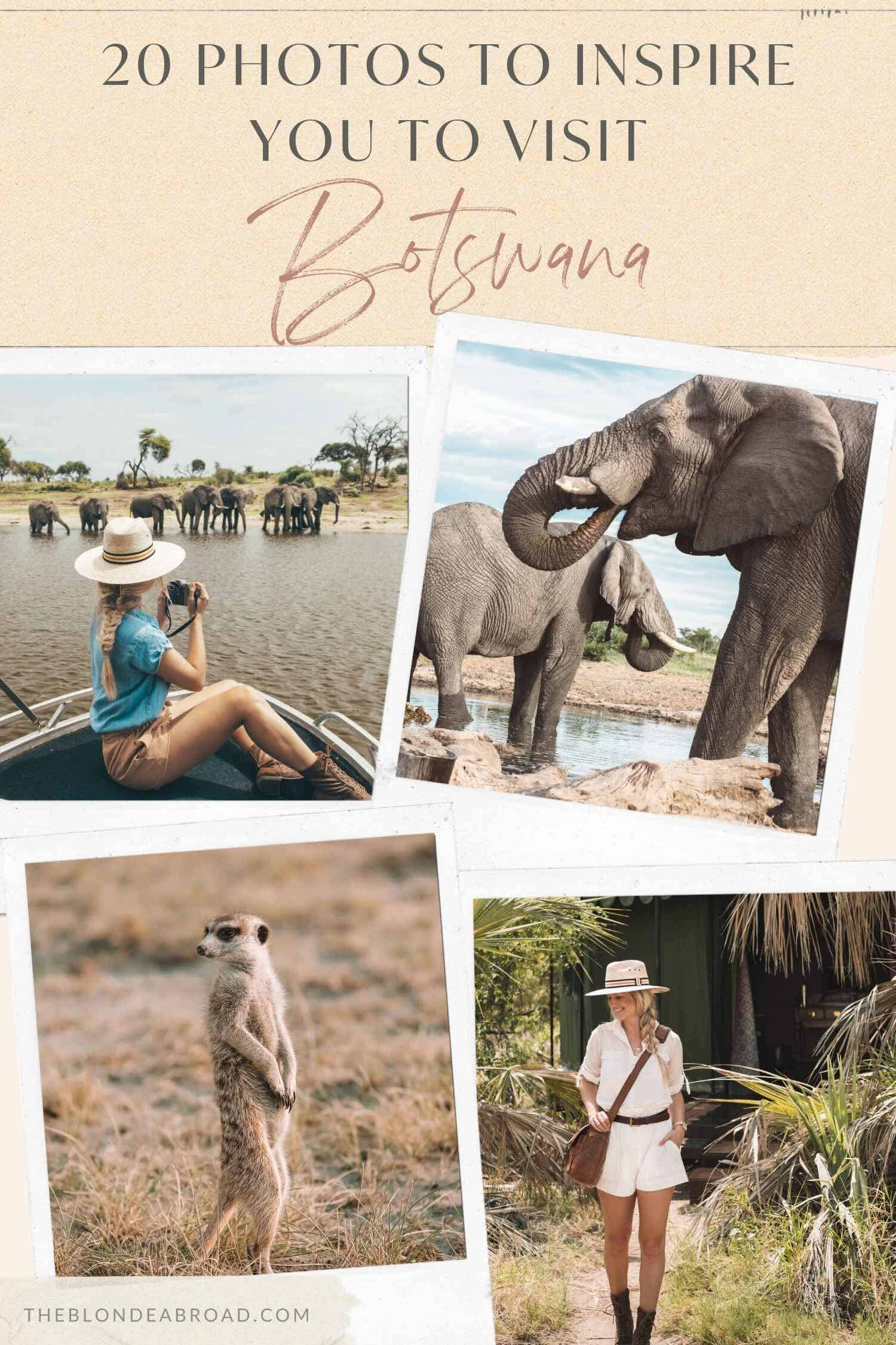 20 Photos to Inspire You to Visit Botswana | TBA