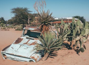 namibia road trip