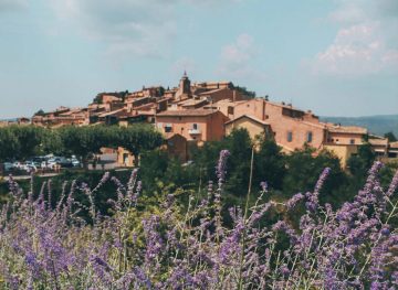 Lavender in ROUSSILLON