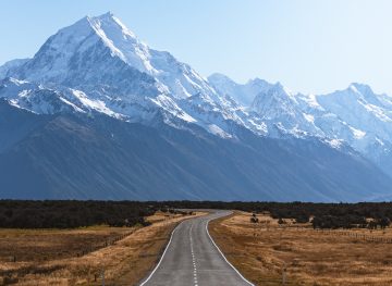 new zealand landscape