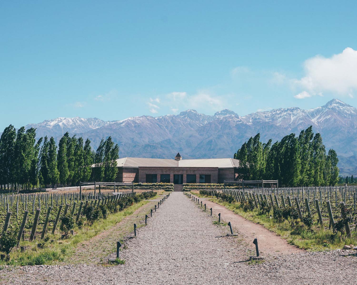 The Best Wine Regions in the World • The Blonde Abroad