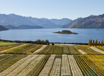 best wine regions in the world