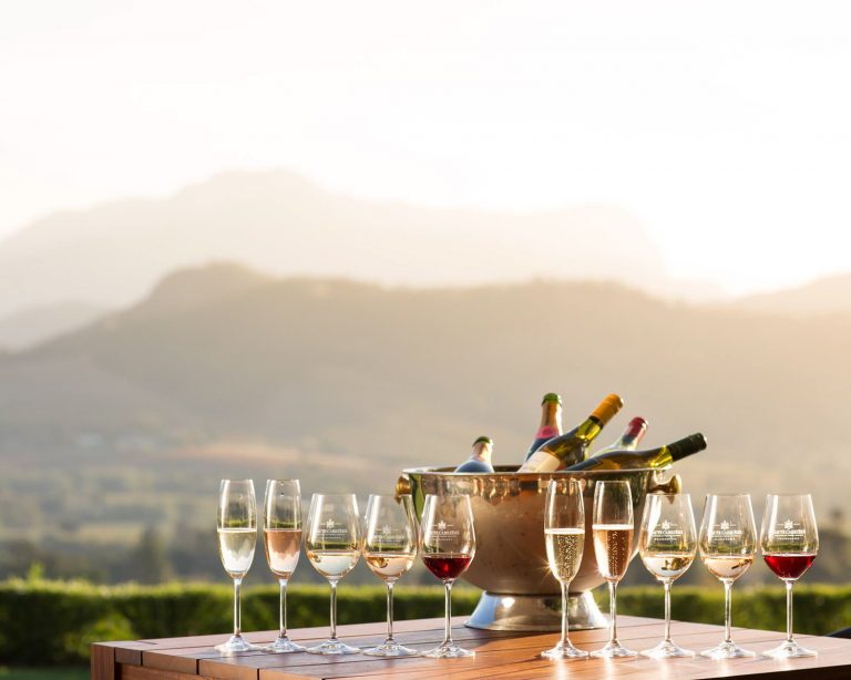 The Best Wineries in South Africa's Cape Winelands • The Blonde Abroad