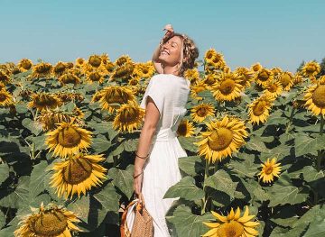 sunflower field thumb