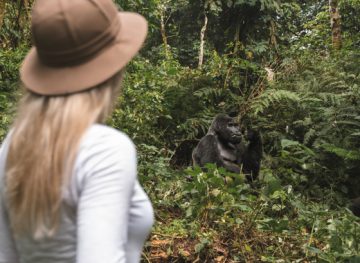 Uganda Gorilla Trekking