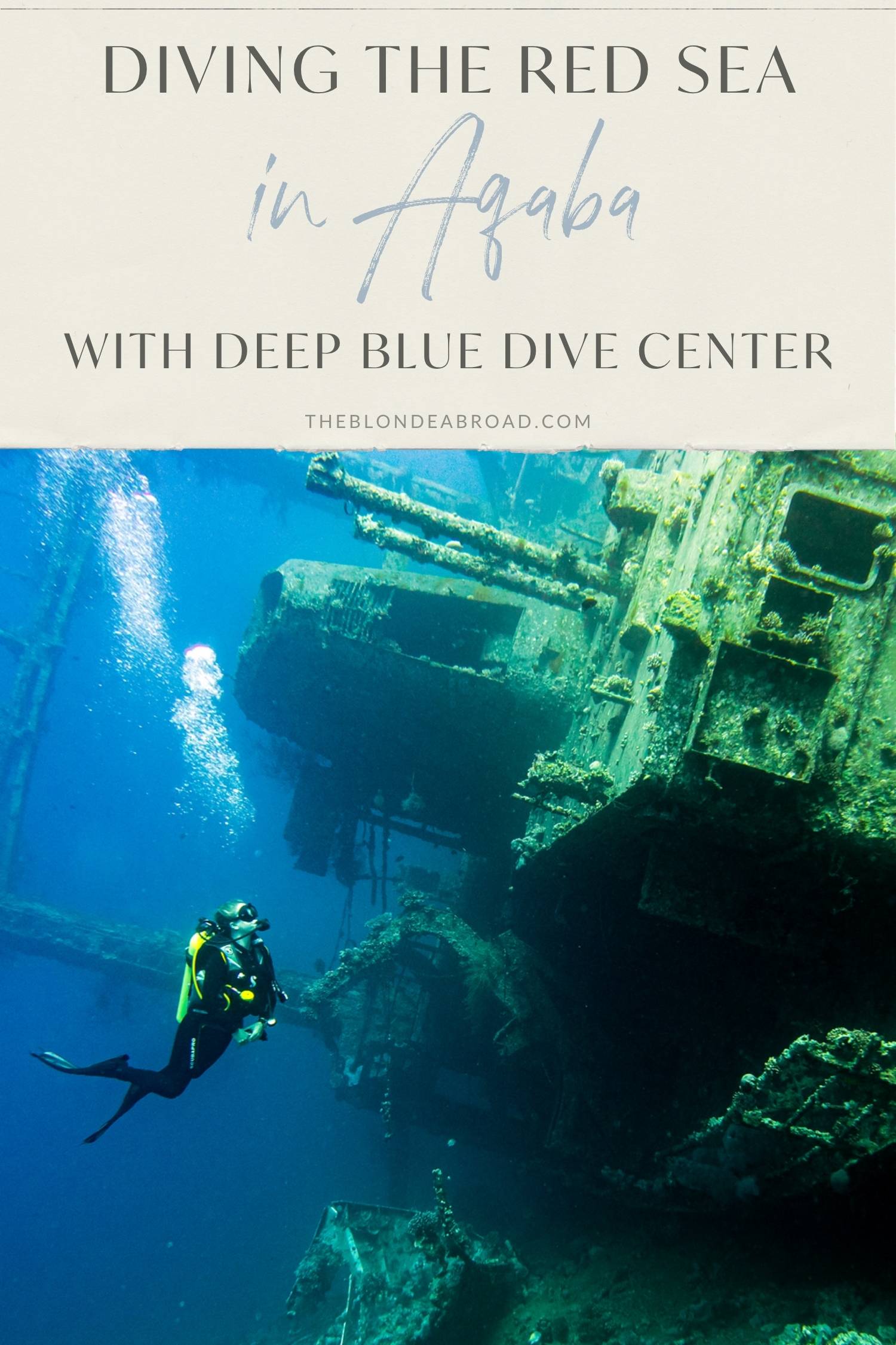 Diving the Red Sea in Aqaba with Deep Blue Dive Center