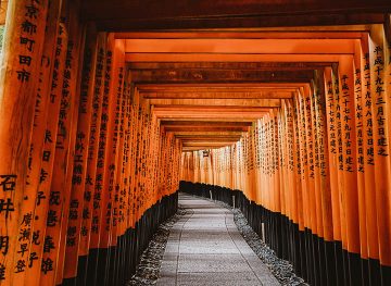 Fushimi Inari Kyoto