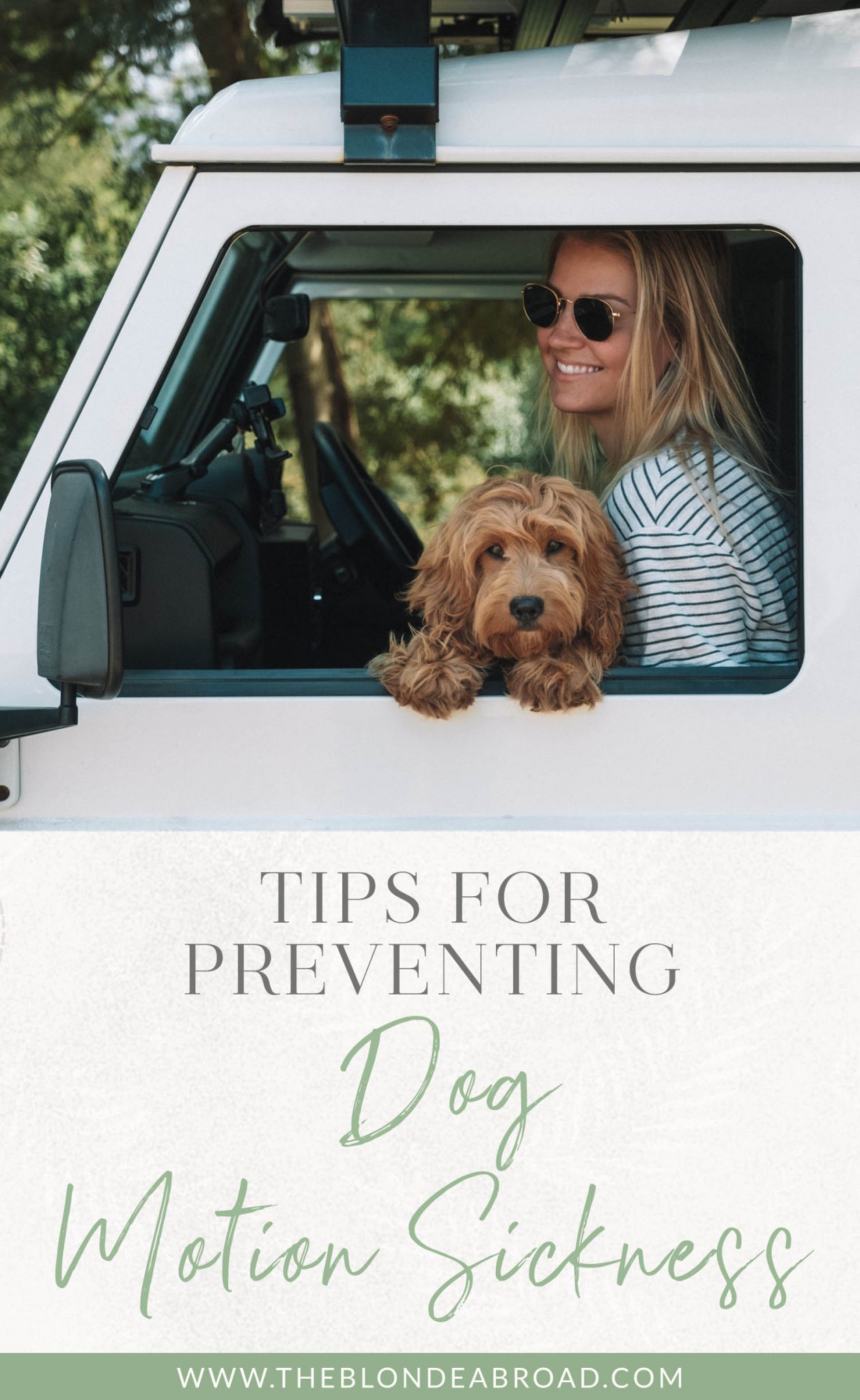 Curated visual reference: Grapes And Dog Motion Sickness Prevention Methods Reference: Tips For Preventing Dog Motion Sickness The Blonde Abroad