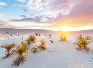 white sands national park