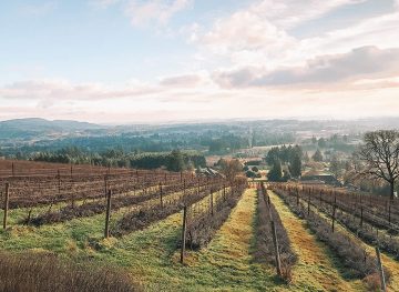 Willamette Valley