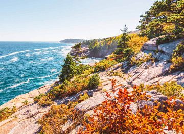 maine coast acadia national park