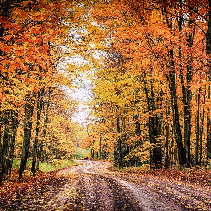 The Best Destinations in the United States for Leaf Peeping • The ...