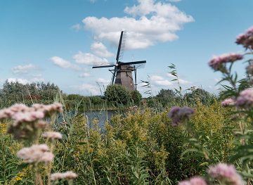 Kinderdijk Windmill netherlands