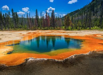 yellowstone national park